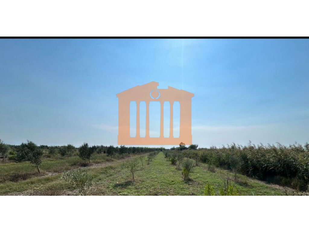 Land/Area for Sale in Vlorë!
