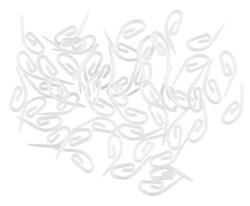 Accessory for curtain hooks FIXI 50pc white