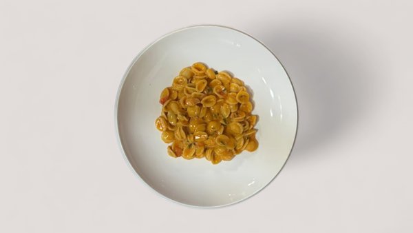 Orecchiette with Salmon